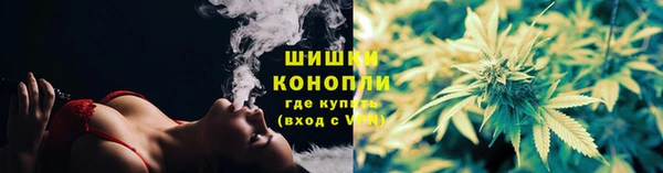 дживик Осташков