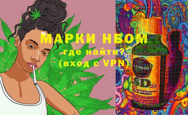 дживик Осташков
