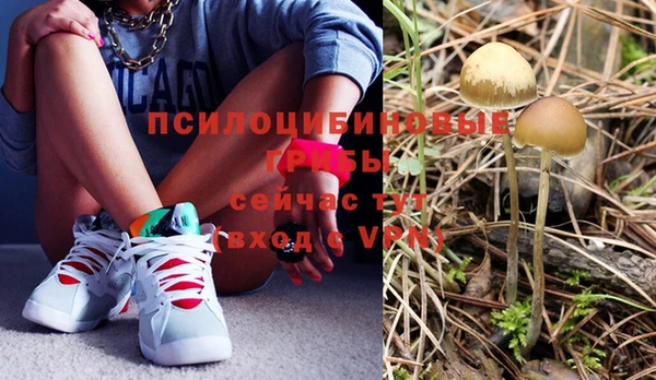 дживик Осташков