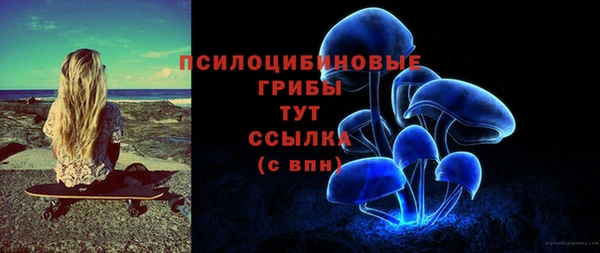 эйфоретик Абаза